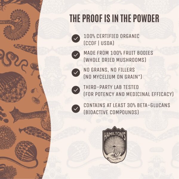 Suplemento vegano de hongos para salud inmunológica