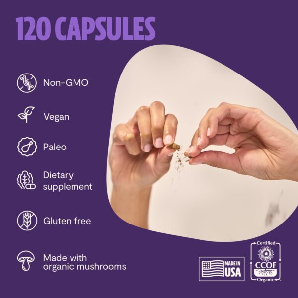 Suplemento vegano melena de león FreshCap