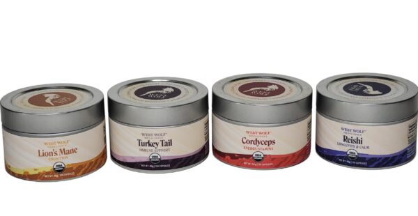 Suplemento vegano no OGM melena de león alta potencia