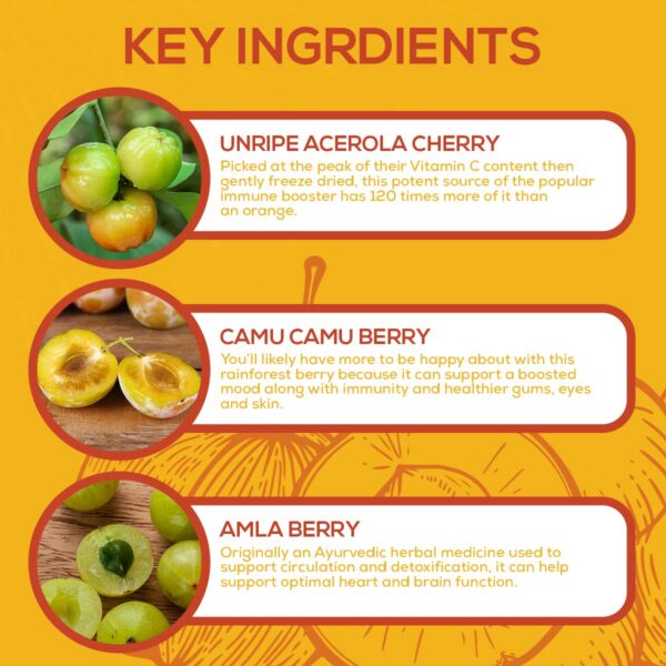 Suplemento vegano Paleovalley Essential C 56 cápsulas