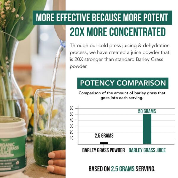 Suplemento vegano de polvo de jugo de pasto de cebada para energía