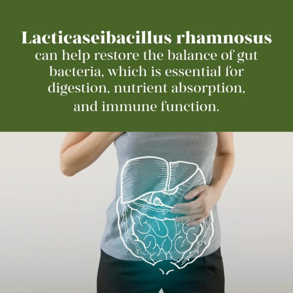 Suplemento vegano para salud digestiva MEIBOTAN