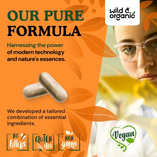 Suplemento vegano sin rellenos de hongos medicinales