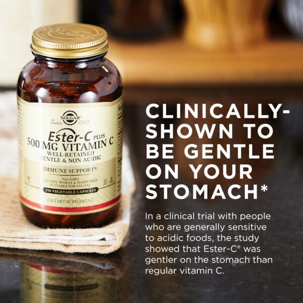 Suplemento vegano Solgar Ester-C Plus 500mg Vitamina C