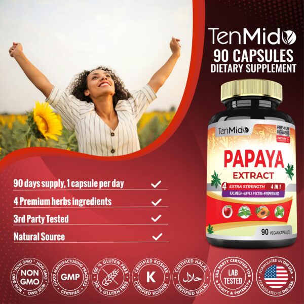 Suplemento vegano Temido papaya hoja 90 cápsulas