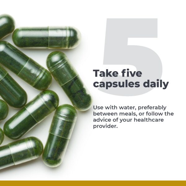 Suplemento vegetal Premier Greens cápsulas para adultos 150 unidades