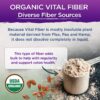 Suplemento Vital Fiber Vital Planet ingredientes naturales orgánicos