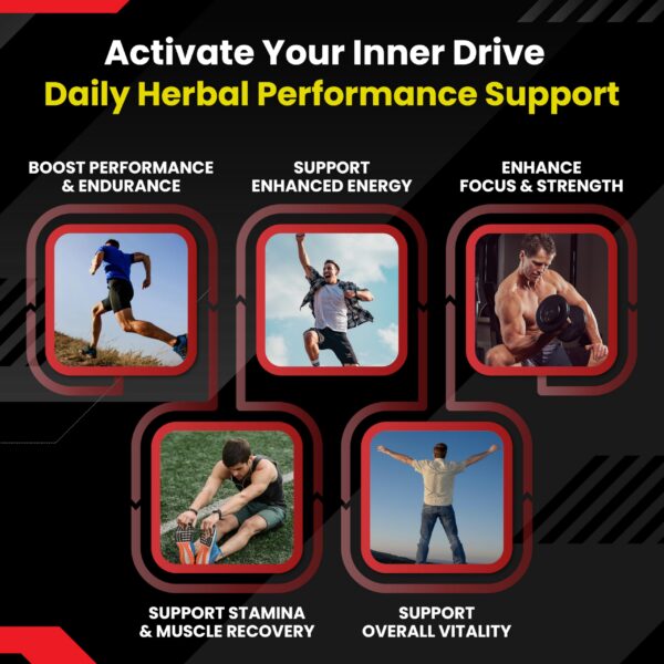 Suplemento Vital Herbal Horny Goat Weed caja y cápsulas