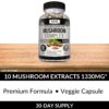 Suplemento para vitalidad y bienestar Kaya Naturals hongos