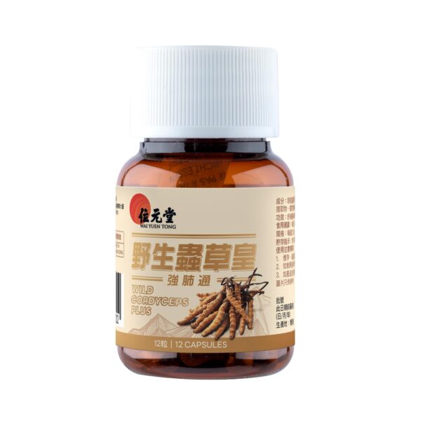 Suplemento vitalidad y equilibrio interno Cordyceps Wai Yuen Tong