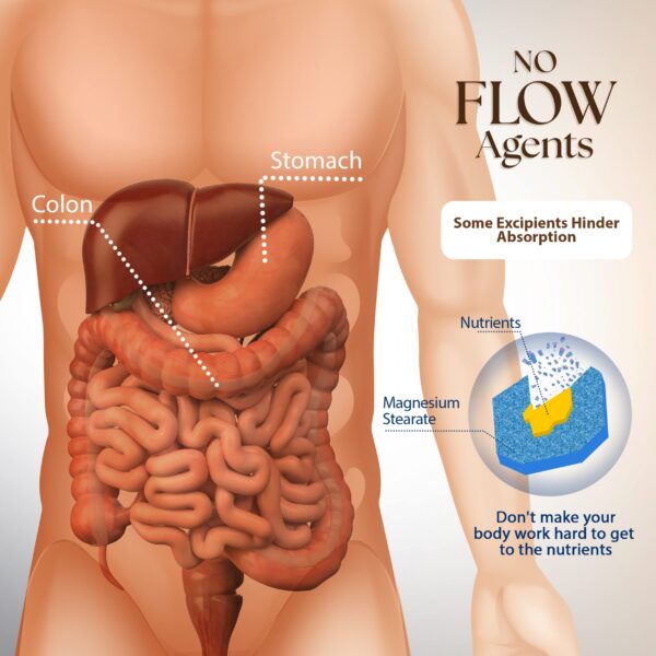 Detalle del envase desde ángulo