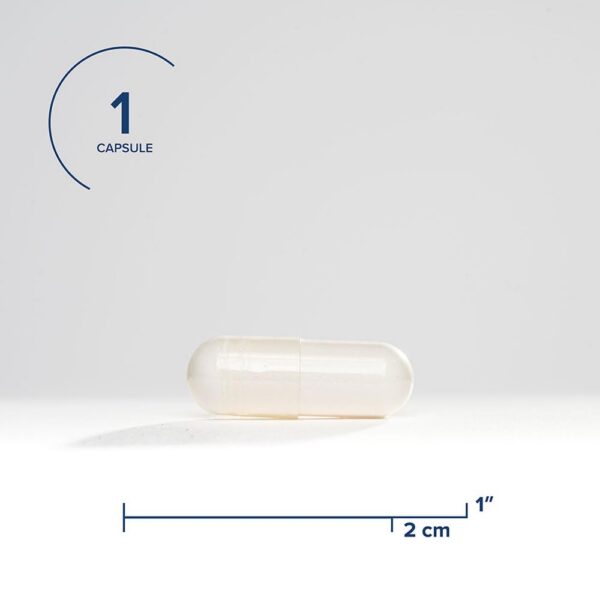 Suplemento vitamina B3 niacina Seeking Health paquete 100 cápsulas