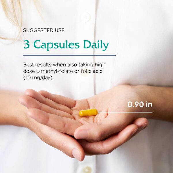 Suplemento Vitanica con cúrcuma y té verde