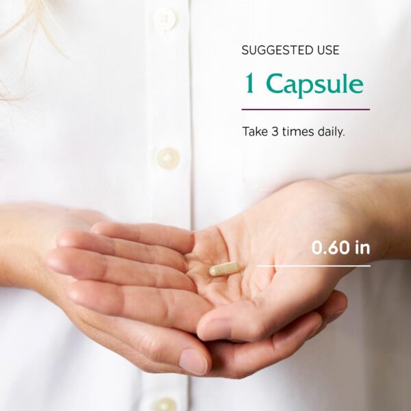 Suplemento Vitanica con extracto natural de Ginkgo