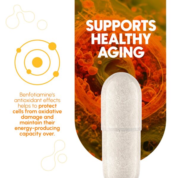 Suplemento Zenavea benfotiamina B1 antioxidante y metabolismo
