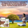 Suplementos naturales Shilajit Ashwagandha Himalaya