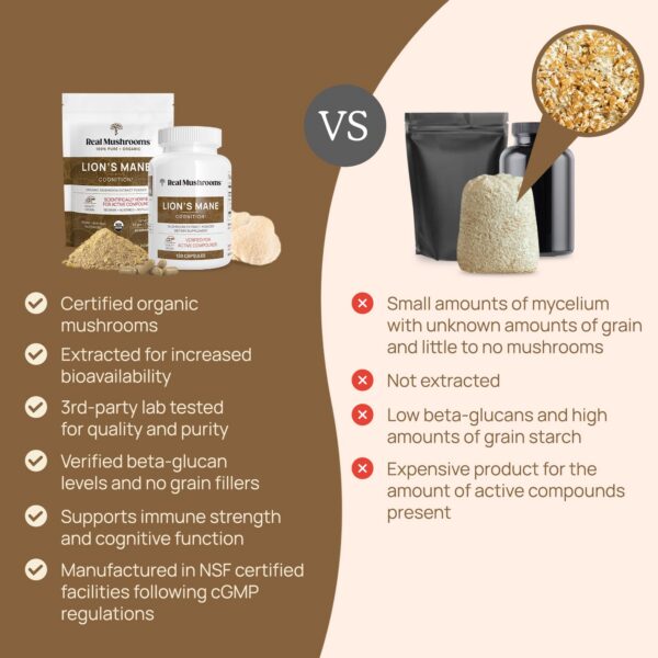 Melena de León para mejorar la función cerebral