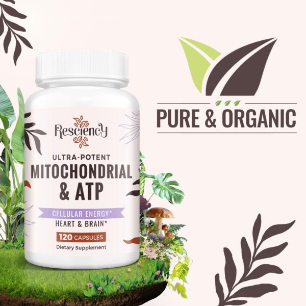 Suplementos Resciency con ingredientes naturales y orgánicos