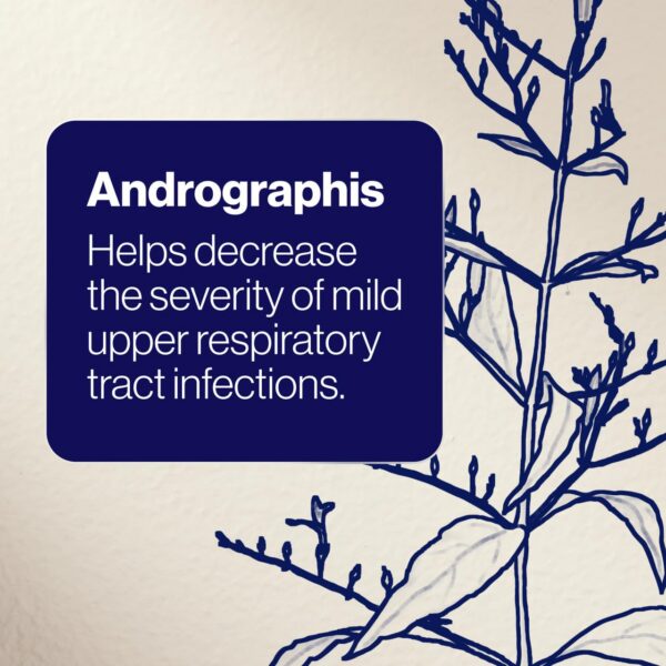 Suplementos veganos hoja de olivo BioCeuticals ArmaForce 120 tabletas