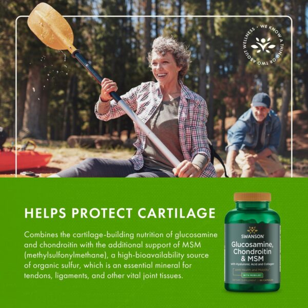 Etiqueta trasera con información de MSM