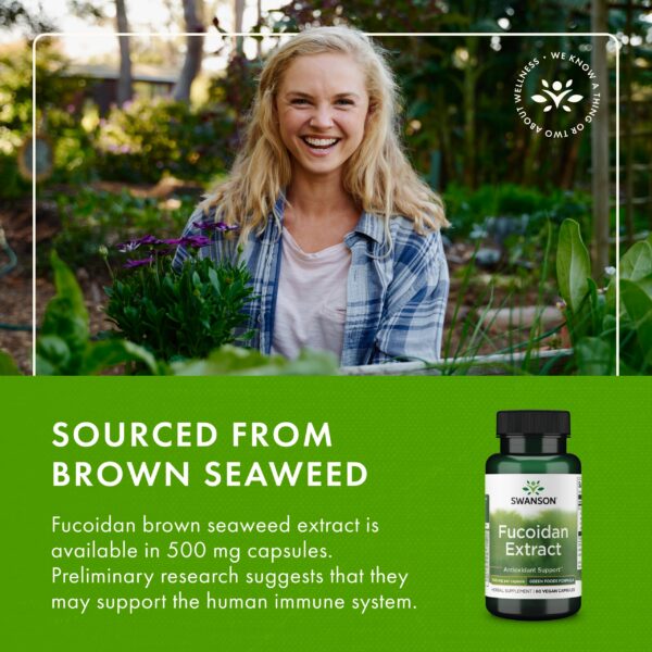 Sello GMP en el empaque