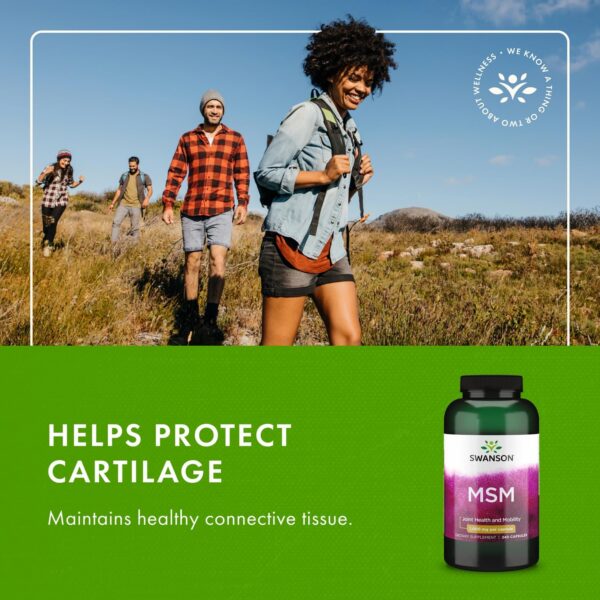 Version 1.0.0 Frente del envase Swanson MSM