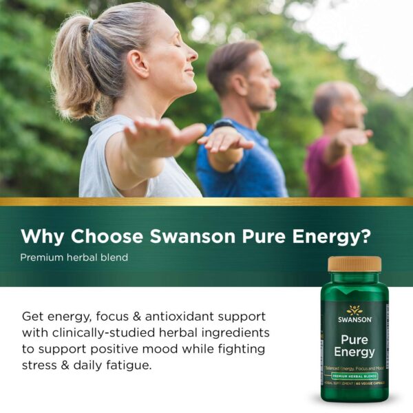 Version 1.0.0 Swanson Pure Energy adaptógeno para energía consistente