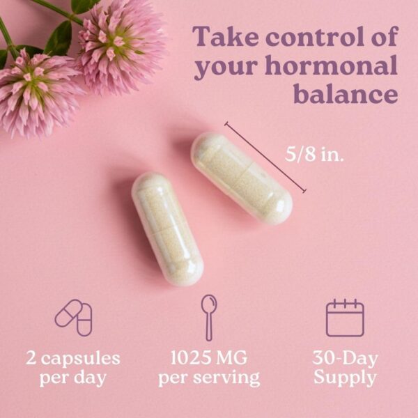 Logotipos vegan y no-GMO