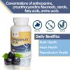 Synerplex Acai cápsulas etiqueta externa