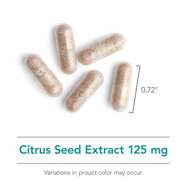 Tablet Nutricology extracto semilla toronja para soporte metabólico