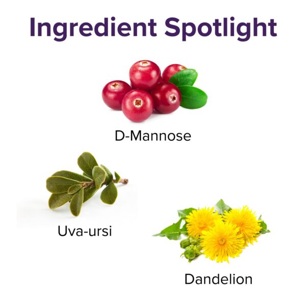 Vibrant Health polvo para confort urinario y salud