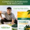 Tabletas Chlorella Spirulina con antioxidantes de Sunlit Best