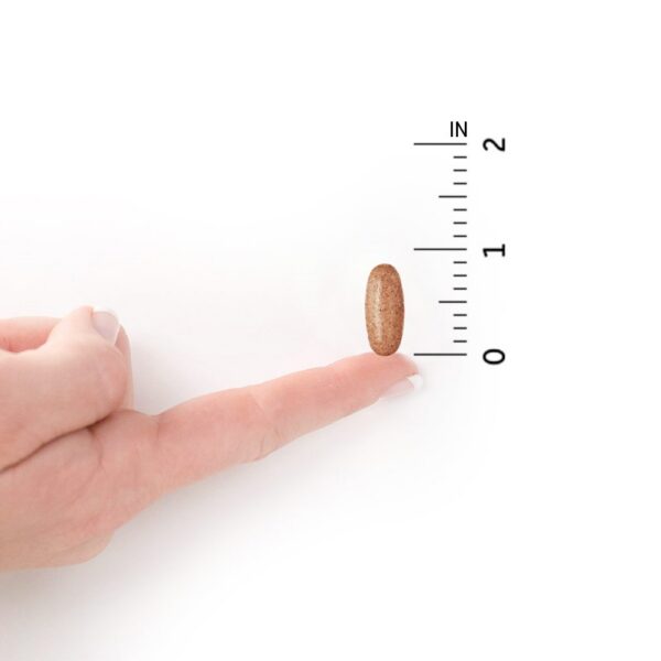 Tabletas Garden of Life Organics para energía y salud