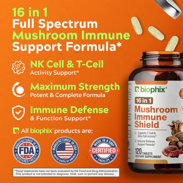 Tabletas de Hongos en mano