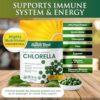Tabletas individuales Spirulina y Chlorella para energía y bienestar