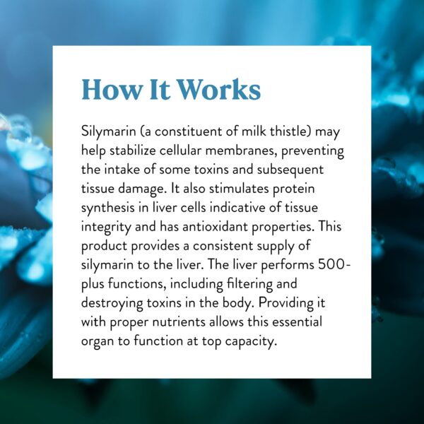 Version 1.0.0 Tabletas liberación prolongada cardo mariano y antioxidantes