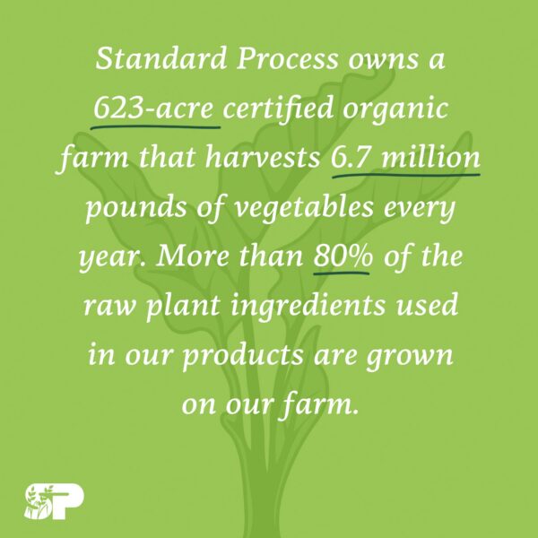 Tabletas masticables Catalyn Standard Process vitaminas apoyo bienestar