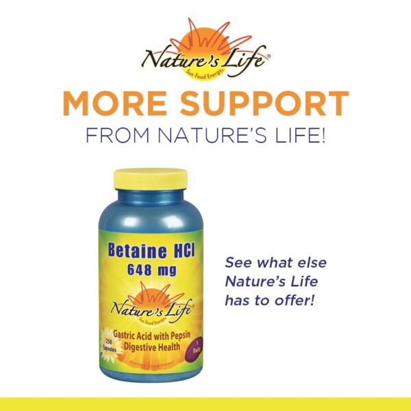 Tabletas masticables Nature's Life DGL Regaliz paquete completo