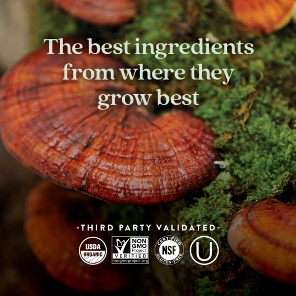 Version 1.0.0 Tabletas New Chapter vitamina D3 con hongo reishi adaptógeno