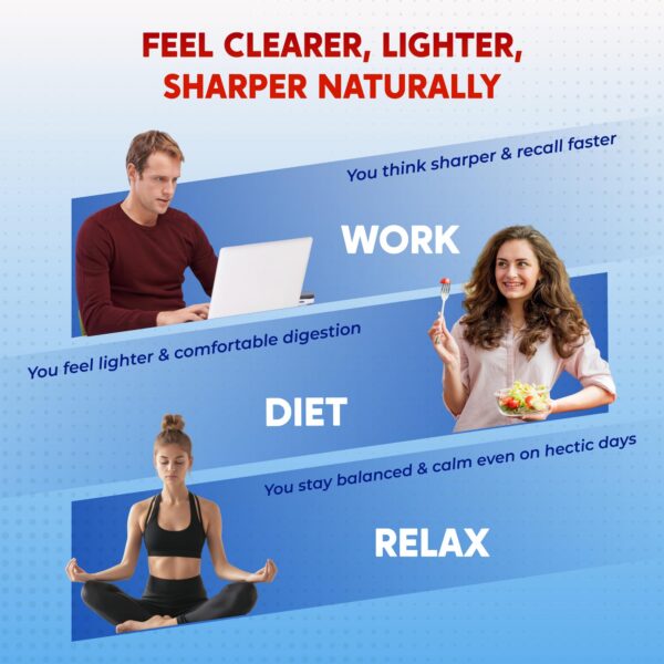 Version 1.0.0 Tabletas Peakpury en blíster