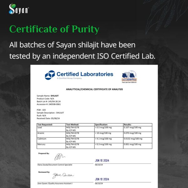 Tarro Shilajit resina pura natural Sayan 100g