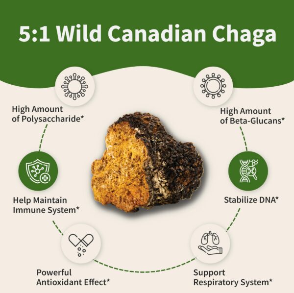 Tabletas suplemento para pulmones Unique Formula con ingredientes naturales