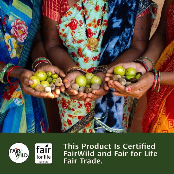 Version 1.0.0 Tabletas Triphala de alta calidad no GMO y veganas