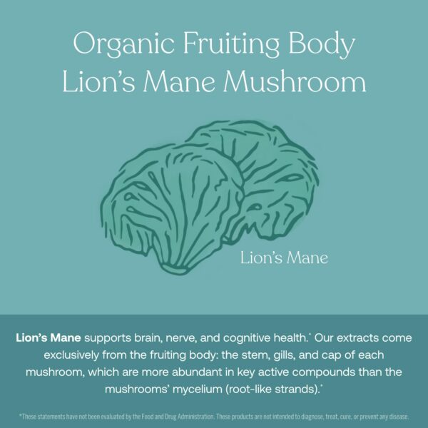 Tabletas True Grace multivitamínico inmunidad y salud corporal