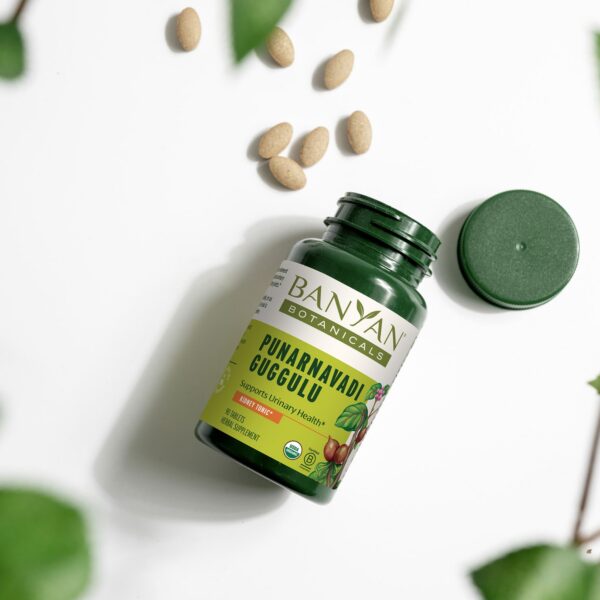 Version 1.0.0 Tabletas veganas para apoyo renal y urinario