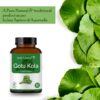 Tabletas veganas Gotu Kola Herb Essential 60 unidades