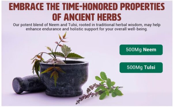 Tabletas veganas Neem Tulsi sin gluten ni conservantes