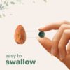 Suplemento de algas espirulina orgánica Micro Ingredients