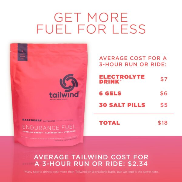 Canister de Tailwind Endurance Fuel