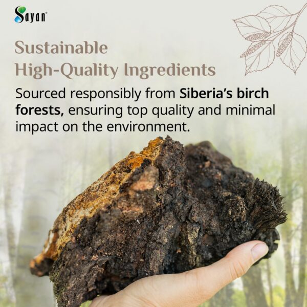 Chaga Sayan en su envase principal